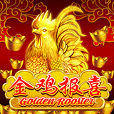 RTP joker solidplay99
